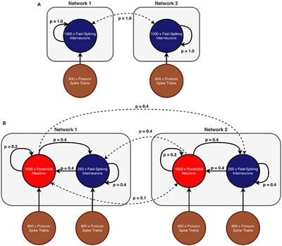 Synchronization Through Uncorrelated Noise in Excitatory-Inhibitory Networks